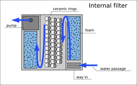 How To Set Up An Internal Aquarium Filter - Aquarium Views