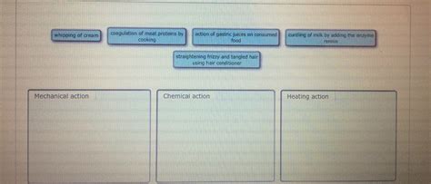 Solved The denaturing of proteins occurs when the | Chegg.com