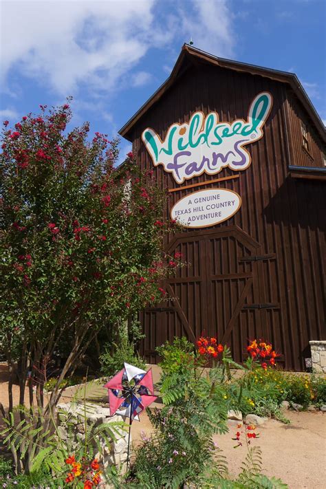 Catch the beautiful blooms at the largest working wildflower farm in the U.S. - Roadtrippers