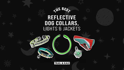 The Best Reflective Dog Collars, Lights And Jackets