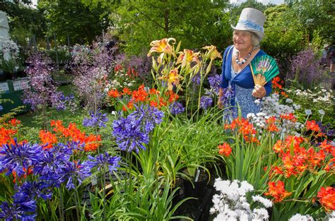 Taunton Flower Show 2019: See the best photos from Friday as thousands visit Vivary Park ...