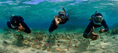 Photo Story: Protecting Fiji’s Coral Coast | UN News