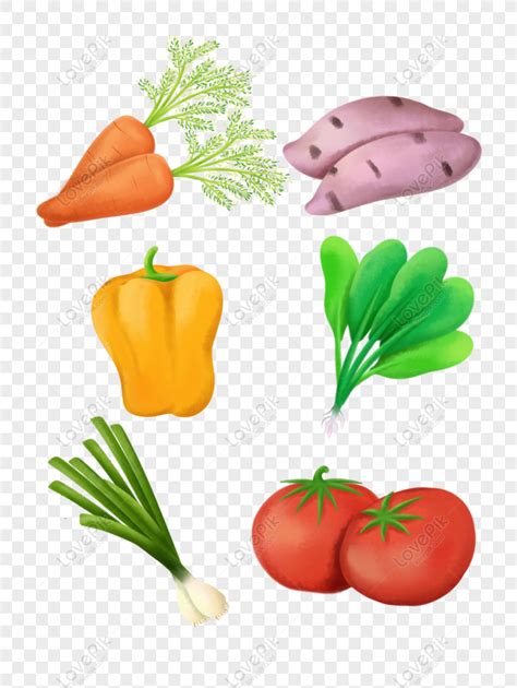 Free Simple Hand Drawn Vegetable Food Healthy Catering Radish Can Be PNG Image PNG & PSD image ...