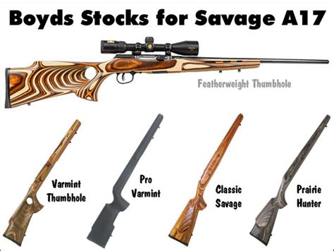 Boyds Introduces Wood Replacement Stocks for Savage A17 « Daily Bulletin