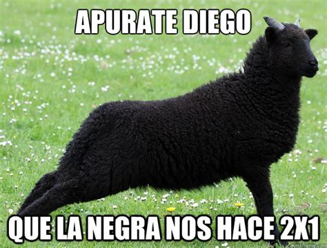 Apurate Diego que la negra nos hace 2x1 - The Black Sheep - quickmeme