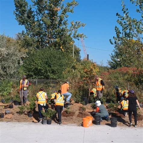 A Celebration of Tree Planting Where Canadians live, work, and play — Canadian Trees for Life