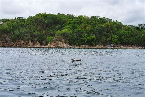 2024 Huatulco National Park Private Tour