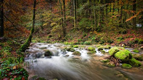 Ambiance automnale photo et image | divers, Étangs, cascades, 191020n6a7608 Images fotocommunity