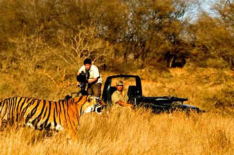 Discover India: Jungle safari in Bandhavgarh National Park, Madhya ...