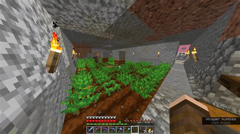 Automatic Villager Food Farm : Minecraftfarms