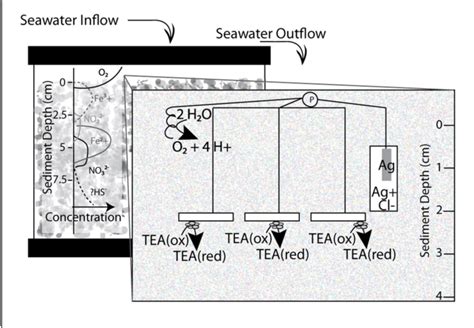 Figure 1 from Marine sediments microbes capable of electrode oxidation ...