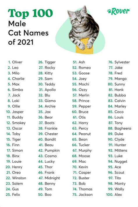 The Top 100 Male Cat Names of 2021 | Funny cat names, Cute cat names, Funny animal names