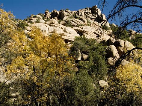 Prescott National Forest, an Arizona National Forest located near Prescott, Prescott Valley