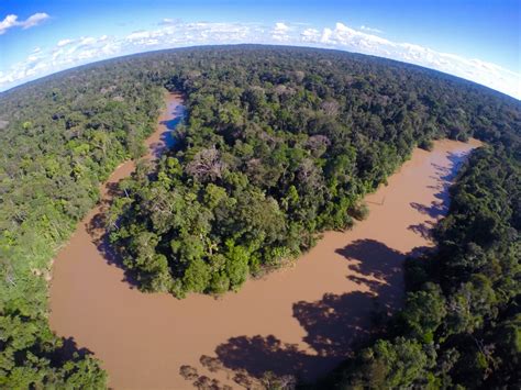 Yasuni National Park - Drone Photography