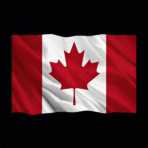 Premium Photo | A flag that has a maple leaf on it