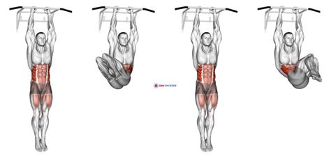 Hanging Oblique Knee Raise - Home Gym Review