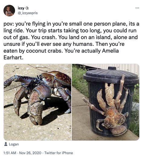 Amelia Earhart Coconut Crabs (meme) | Amelia Earhart Eaten By Coconut Crabs | Know Your Meme