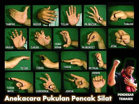 13 Best silat images | Martial arts, Martial, Martial arts techniques