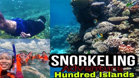 SNORKELING Adventure | Hundred Islands | Alaminos Pangasinan - YouTube