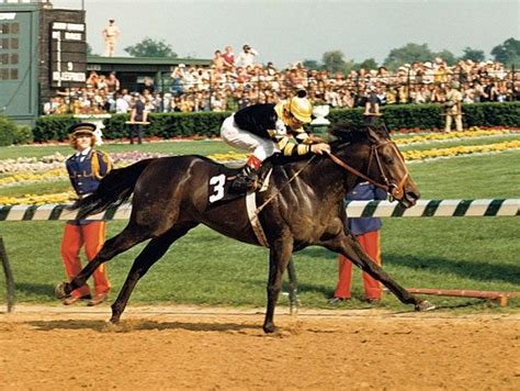 Seattle Slew | Horses, Triple crown, Western pleasure horses