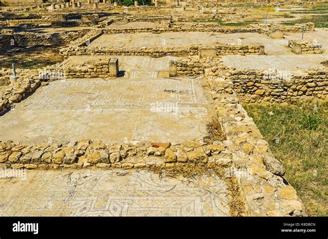 EL DJEM, TUNISIA - SEPTEMBER 1, 2015: The ancient roman mosaics and ...