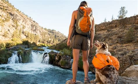 Dog Hiking Gear: Buying Guide and Expert's Reviews