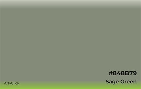 Sage Green Color | ArtyClick