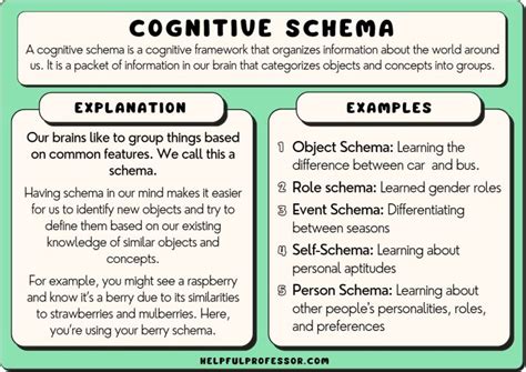 15 Schema Examples (In Learning Psychology) (2024)