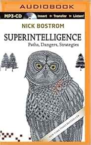 Superintelligence: Nick Bostrom, Napoleon Ryan: 0191091262665: Amazon ...