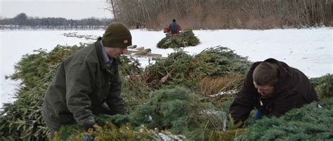 Christmas Trees for Improved Fish Habitat | OutDoors Unlimited Media and Magazine