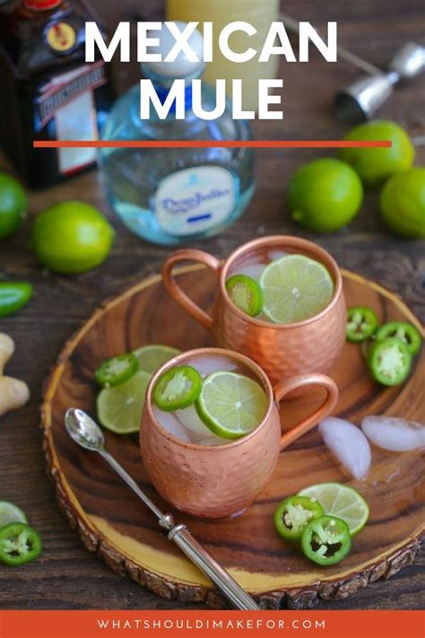 Mexican Mule | Recipe | Mexican mule, Homemade ginger beer, Mexican ...