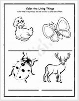 26 Best Ideas For Coloring Living And Nonliving Thing  Vrogueco sketch template