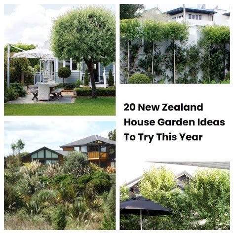 20 New Zealand House Garden Ideas To Try This Year | SharonSable