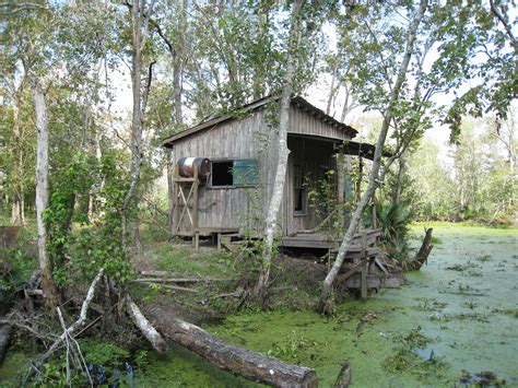 louisiana bayou shack | Louisiana+bayou+shack | Louisiana bayou ...