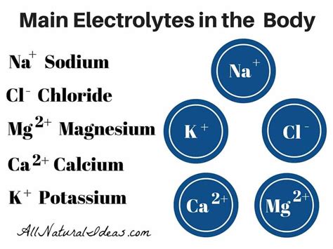 Importance of Electrolytes in the Body | All Natural Ideas