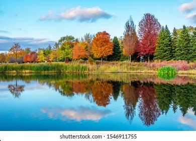 Prairie Lakes Park Des Plaines Town Stock Photo 1546911755 | Shutterstock