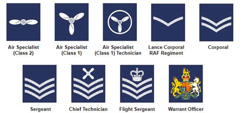 Royal Air Force Facts & Worksheets | History, Function, Combat, Figures