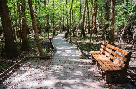 Congaree National Park | WPBS | Serving Northern New York and Eastern Ontario