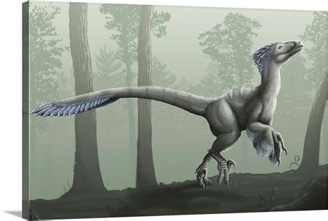 Deinonychus antirrhopus in a misty forest Wall Art, Canvas Prints ...