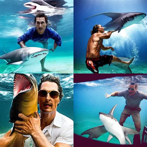 Matthew McConaughey punching a shark underwater, | Stable Diffusion | OpenArt