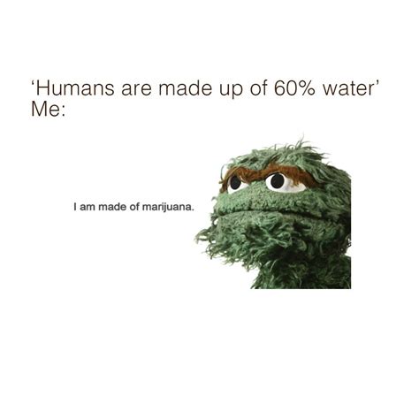 Oscar the Grouch is made of weed! | WEEDIQUETTE | Pinterest | Weed ...