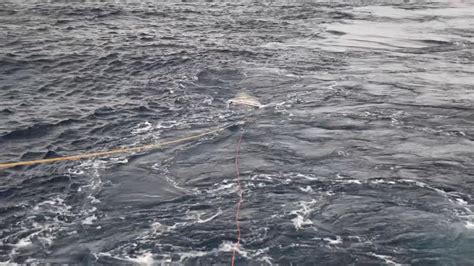 Quest to find rare marine life in the deep ocean begins | World News | Sky News