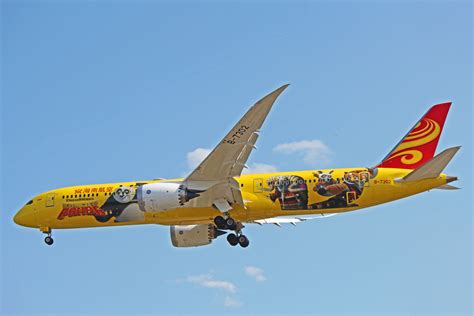 Airplane Special Liveries: Airlines Getting Attention With Cool Paint Jobs | Airplane landing ...