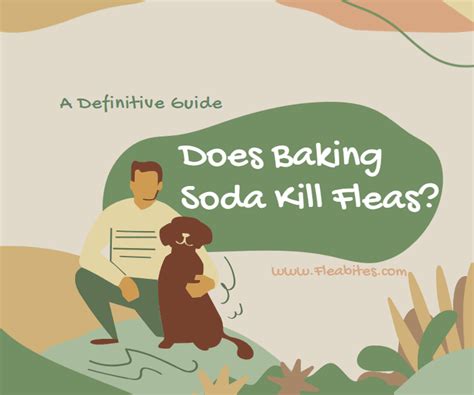 Does Baking Soda Kill Fleas? A Definitive Guide