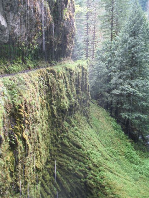 Eagle Creek Trail, Oregon | Country roads, Oregon, Eagle creek