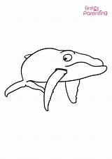 Simple Cartoon Whale Coloring Page For Kids  FirstCry Parenting sketch template