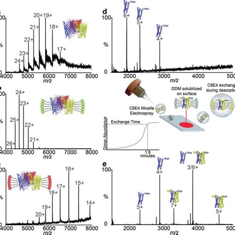 A list of common bioimaging techniques | Download Table