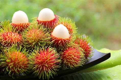 11 Benefits Of Rambutan