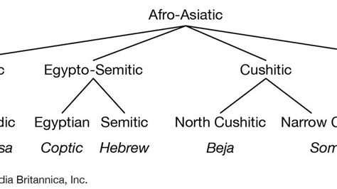 Afro-Asiatic languages | Britannica