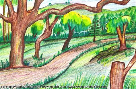 Forest Scenery Colored Pencils Drawing Forest Scenery With Color | Forest drawing, Drawings ...